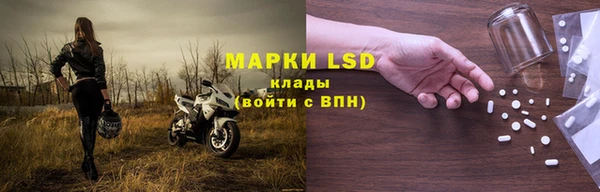 прущие грибы Кулебаки