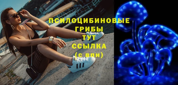 прущие грибы Кулебаки