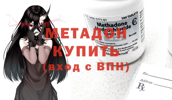 прущие грибы Кулебаки