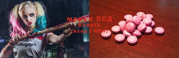 прущие грибы Кулебаки