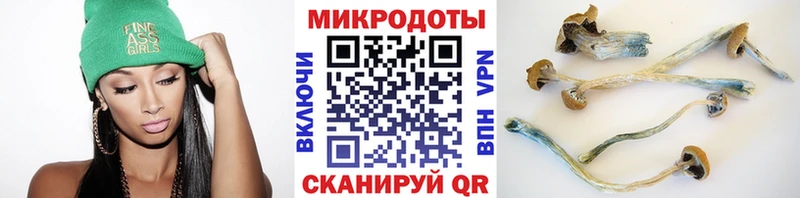 Купить закладки  Реж  Галлюциногенные грибы мицелий 